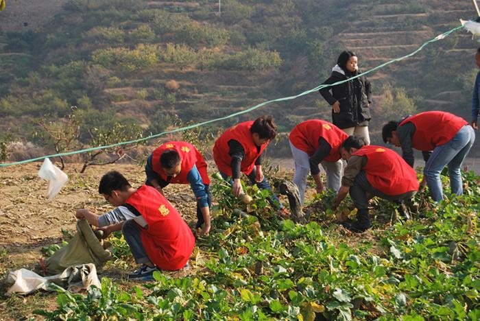 数理学院组织学生党员到崂山莲花老年公寓做志愿活动