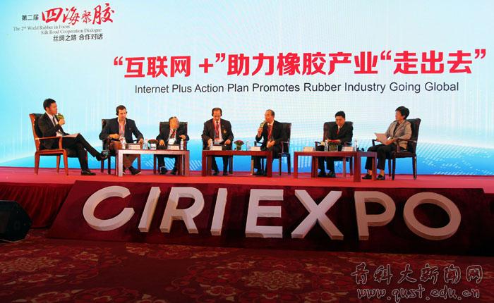 党委书记高青应邀出席第二届橡博会并接受媒体专访